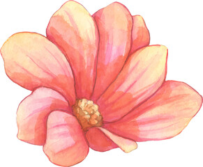 Obraz premium flower nice clipart