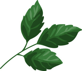 leaf cute clipart