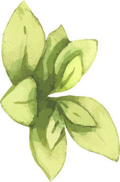 leaf cute clipart