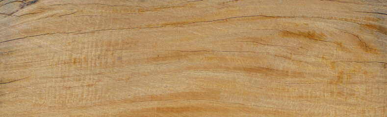 Embossing of wood texture on transparent background. background photo, High Resolution for 3D.