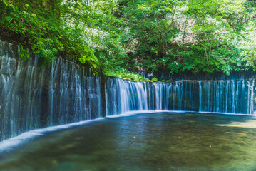 夏の白糸の滝