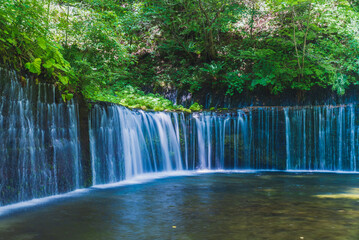 夏の白糸の滝