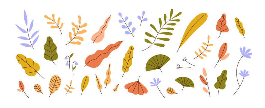 Abstract autumn leaf, modern botanical set. Foliage, plant elements bundle. Different fall leaves. Trendy stylized nature botany decoration. Flat vector illustration isolated on white background