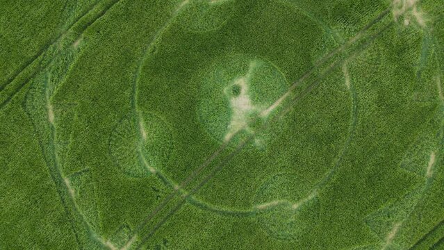 Aerial drone bird's eye shot over a crop circle in a green crop field in Hippenscombe UK at daytime.Rotating shot.