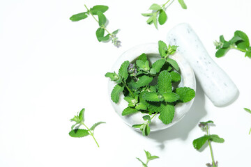 Aromatherapy concept with mint, space for text