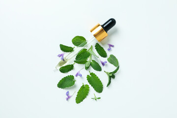 Concept of aromatherapy with mint on white background