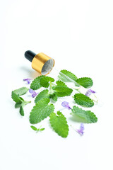Concept of aromatherapy with mint on white background