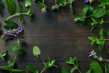 Aromatherapy concept with mint, space for text