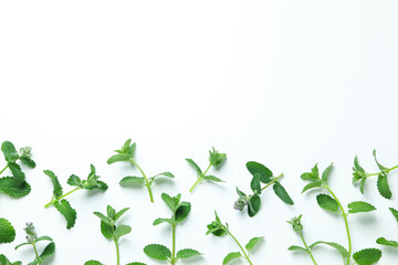 Aromatherapy concept with mint, space for text