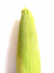 young corn on a white background
 - obrazy, fototapety, plakaty