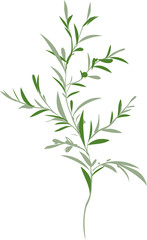 Hand drawn Meadow wild flower and leaves