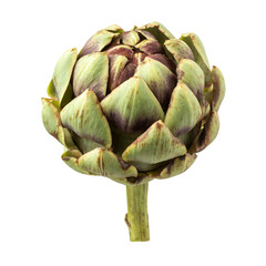 Obraz premium Big fresh green artichoke isolated on white background.