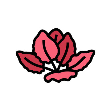 tiger lotus color icon vector. tiger lotus sign. isolated symbol illustration