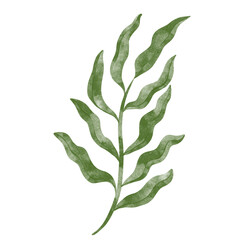 leaf in watercolor