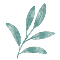 Obraz premium leaf in watercolor