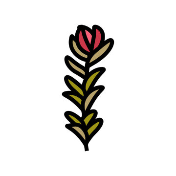 rotala rotundifolia seaweed color icon vector. rotala rotundifolia seaweed sign. isolated symbol illustration