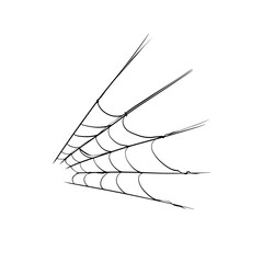 spider webs illustration element