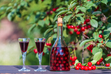 Homemade cherry brandy in glasses and in a bottle on a wooden table in a summer garden