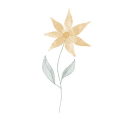 flower watercolor 
