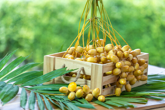 Yellow date palm in the basket with leaves on blur background, Fresh yellow date palm fruit over blurred greenery background.
