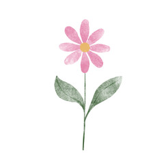 Fototapeta premium flower watercolor 