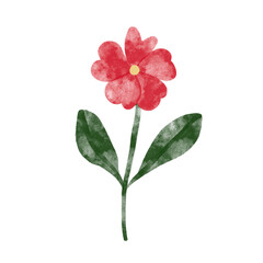 flower watercolor 