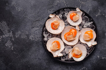 Scallop is placed on ice