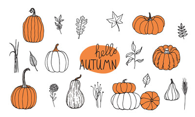 Hand drawn black and white set of pumpkins with twigs grass and leaves. Cartoon outline of vegetables in doodle style. Symbol of autumn harvest and Halloween.