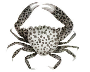 Crab watercolor with transparent background