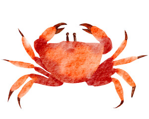 Crab watercolor with transparent background