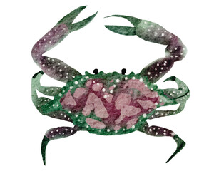 Crab watercolor with transparent background