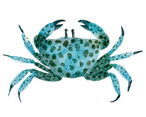 Crab watercolor with transparent background