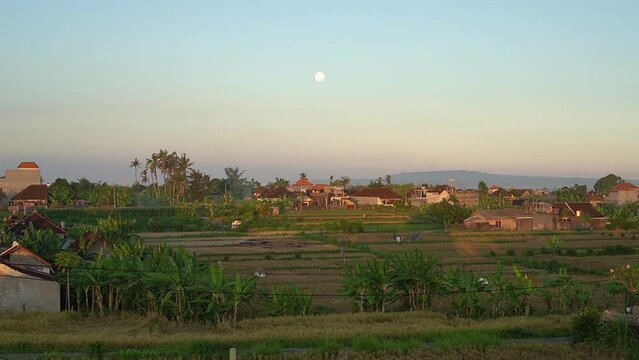 Aerial Drone Fly Above Full Moon Gianyar Bali Ricefield Batubulan Clear Blue Sky