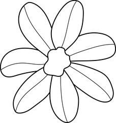 forest fern eucalyptus art foliage natural
leaves herbs inline style. Decorative beauty, elegant illustration