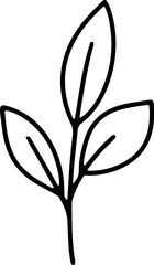 forest fern eucalyptus art foliage natural
leaves herbs inline style. Decorative beauty, elegant illustration