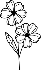 forest fern eucalyptus art foliage natural
leaves herbs inline style. Decorative beauty, elegant illustration