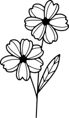 forest fern eucalyptus art foliage natural
leaves herbs inline style. Decorative beauty, elegant illustration