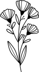 forest fern eucalyptus art foliage natural
leaves herbs inline style. Decorative beauty, elegant illustration 