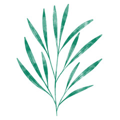leaf in watercolor