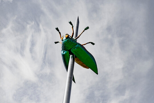 Jan Fabre's Beetle Totem, a Historical landmark in Leuven, Belgium