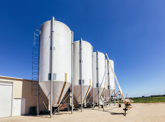 A modern farm with a building used for raising pigs accompanied with a metal grain bin used for...