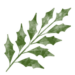 Fototapeta premium leaf in watercolor