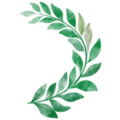 leaf in watercolor