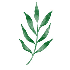 leaf in watercolor