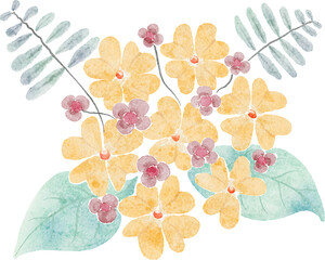 Flower watercolor transparency illustration for decoration.