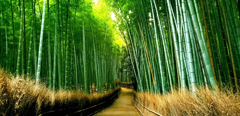 Gordijnen Arashiyama Bamboebos Kyoto Japan © Paige