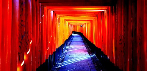 Kyoto Fushimi Inari Shrine Torii Gate Trial