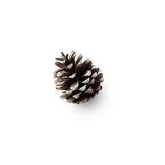 Snow pine cone cutout, Png file.