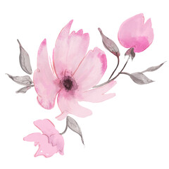 Watercolor digitally painted pink flowers. High quality illustration