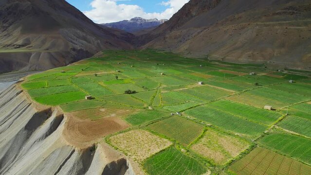 Aerial view or drone moving shot of lush green agricultural farming field or terraced plots in middle of a deserted arid plateau region surrounded by beautiful scenic mountains and a river valley